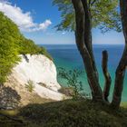 Møns Klint