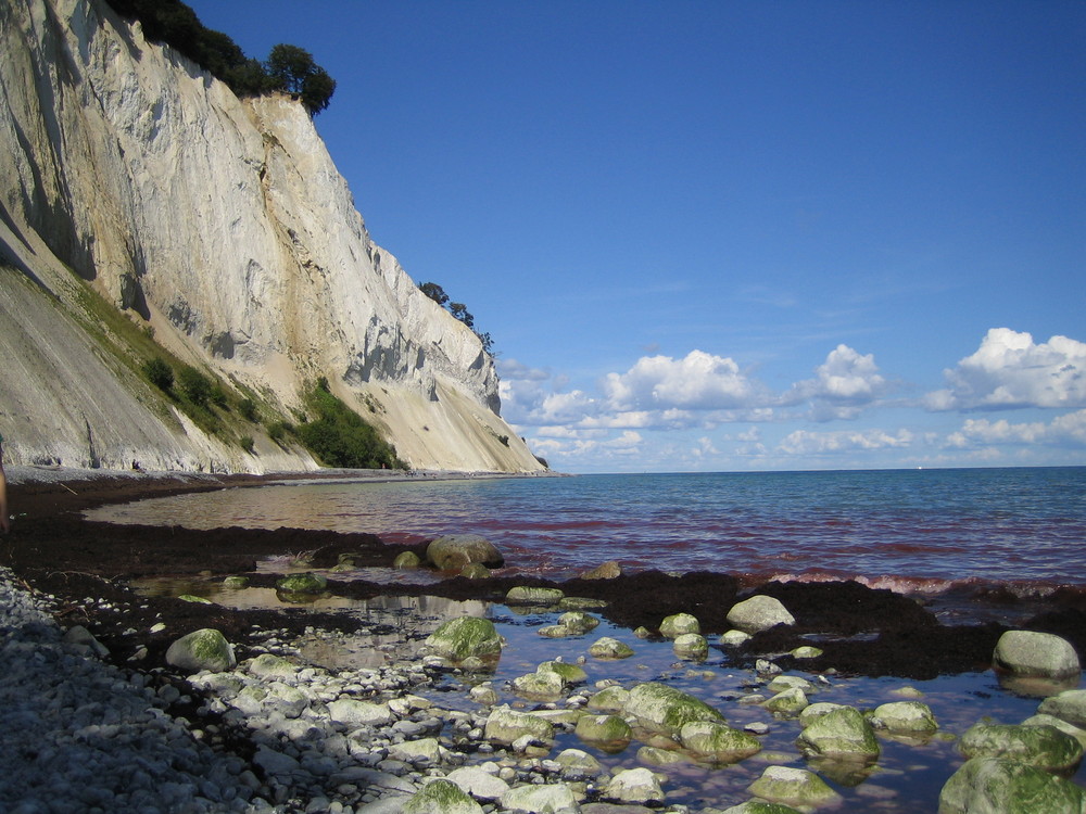 Møns Klint