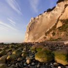 Møns Klint in der Morgensonne