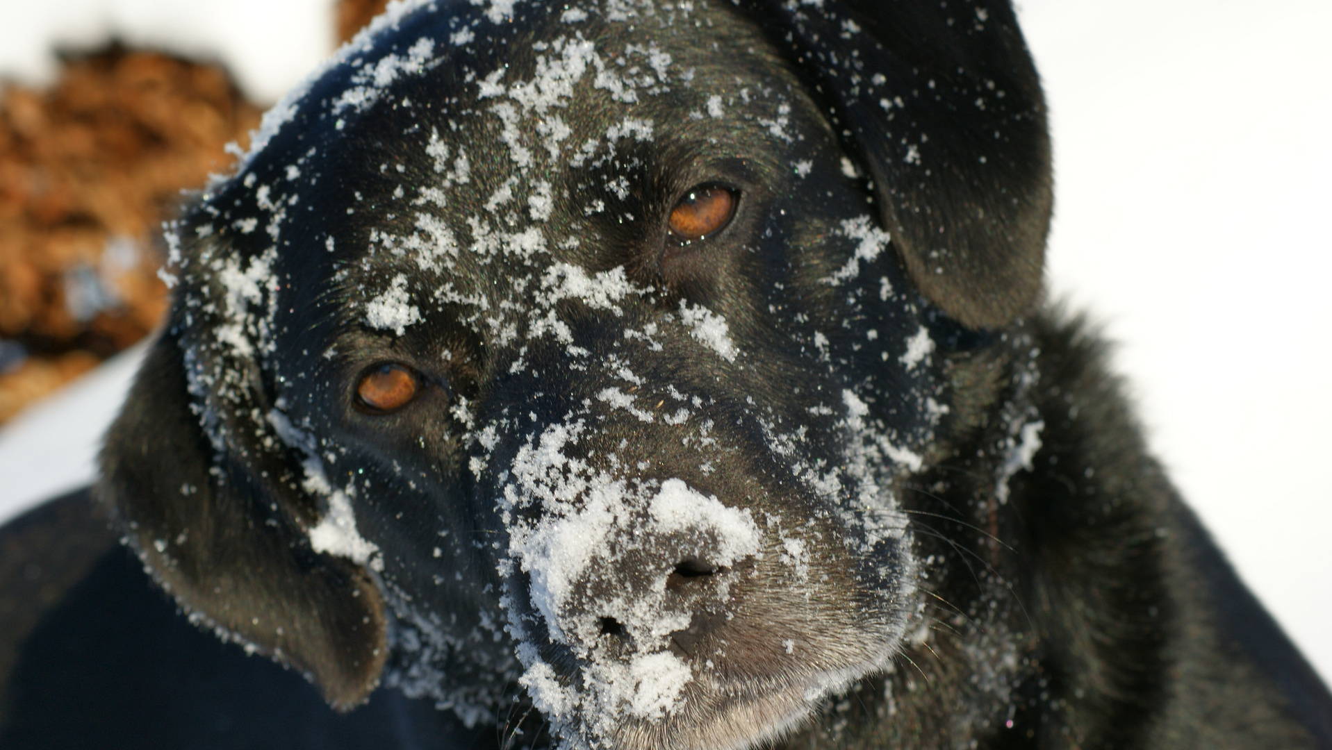 Mo im Schnee