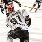 Mo Müller #91 Kölner Haie