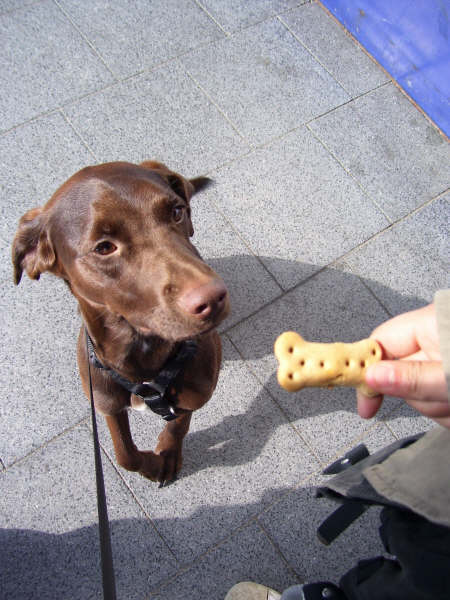 "Moah sieht das aber lecker aus"