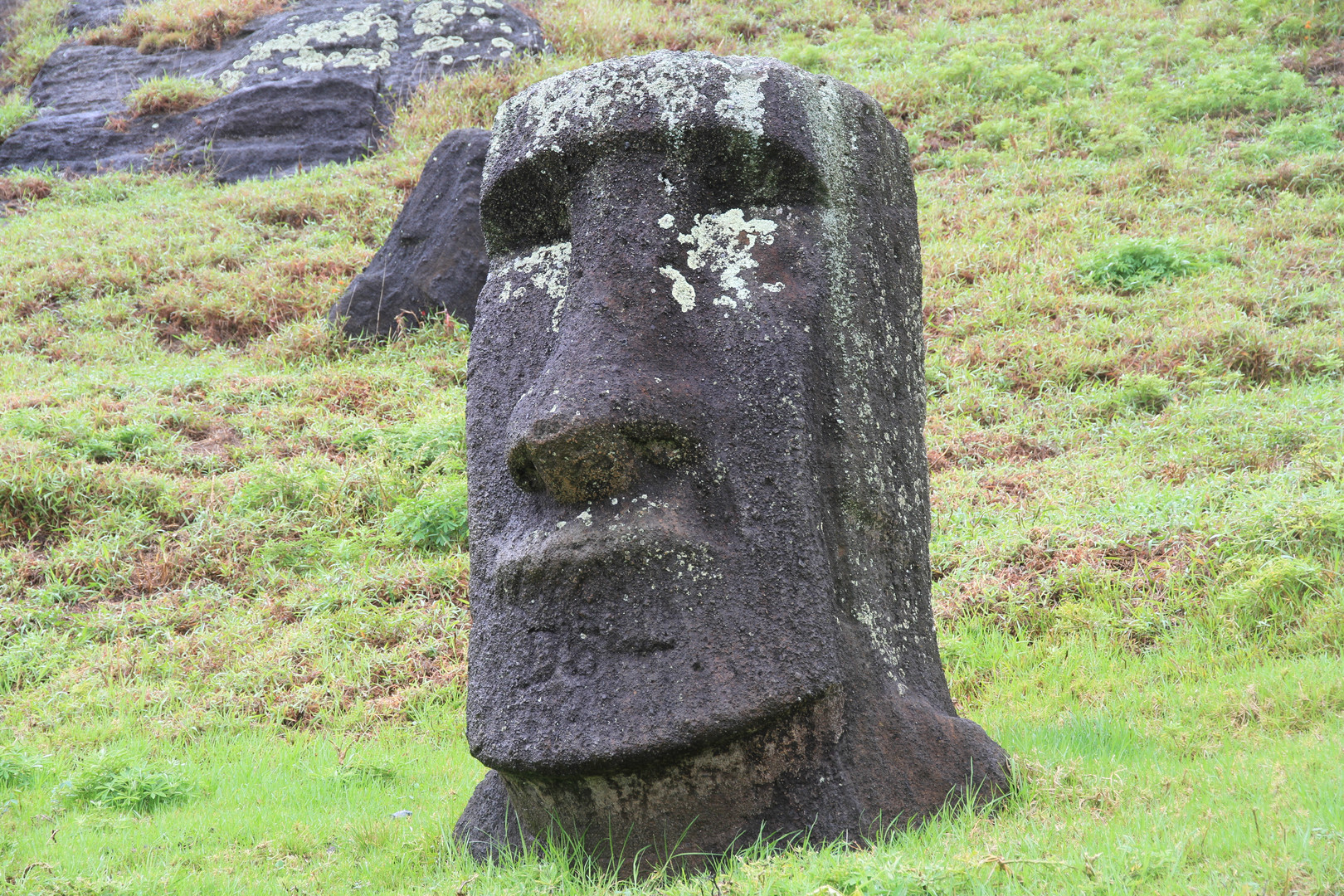 Moai 12