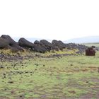 Moai 8 - umgestürzt
