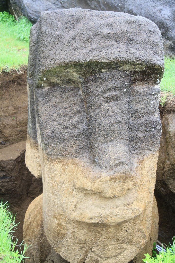 Moai - freigelegt