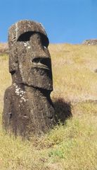 Moai im Ranu Raraku