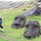 Moai im Regen