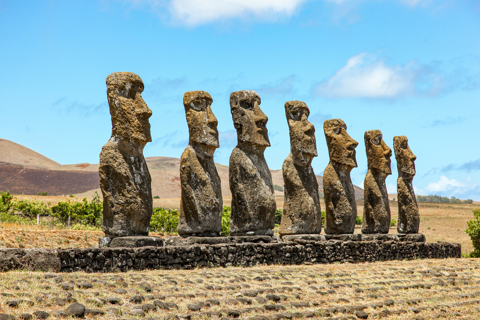 Moai Maea