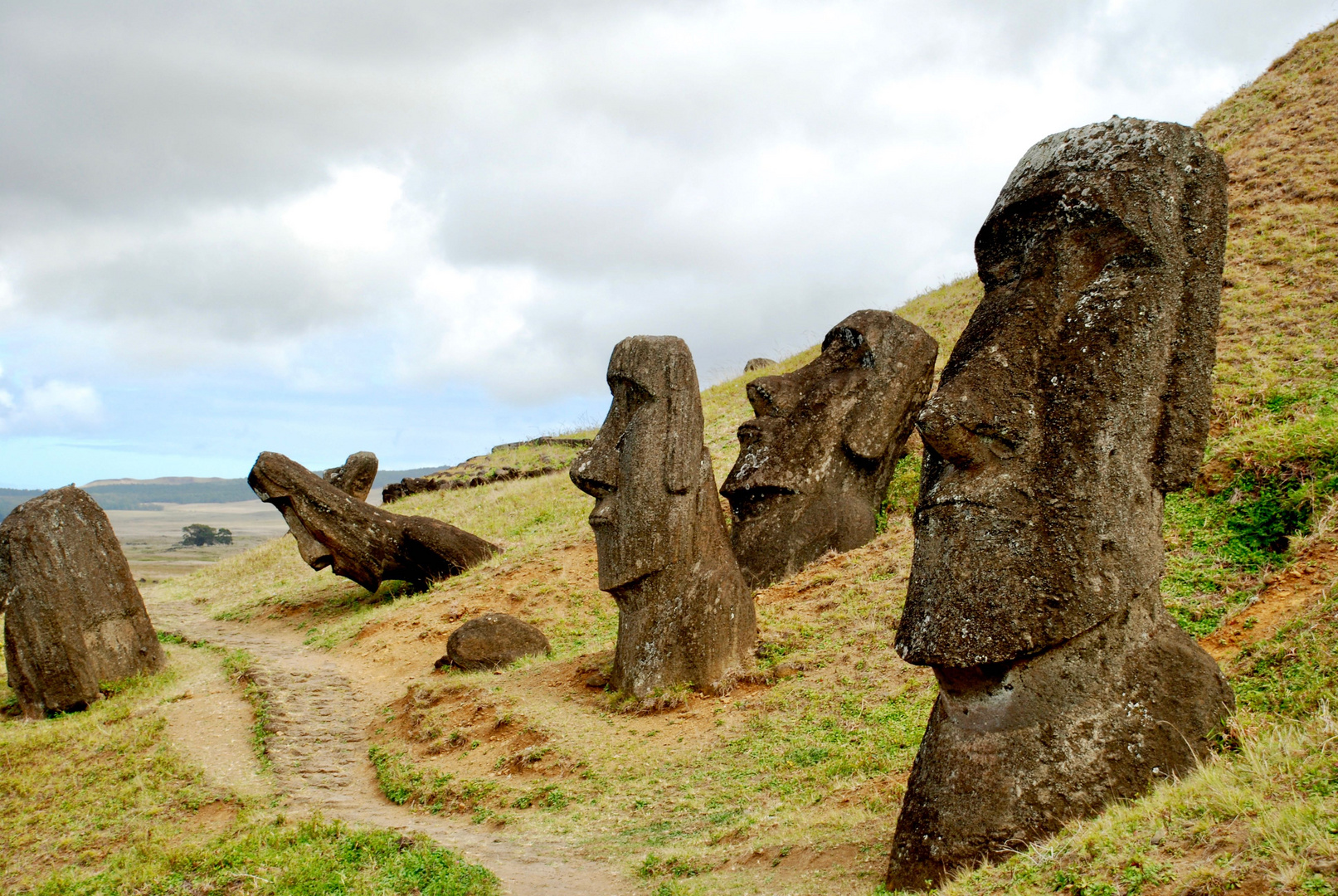 Moai pendici Rano Raraku - Isola di Pasqua