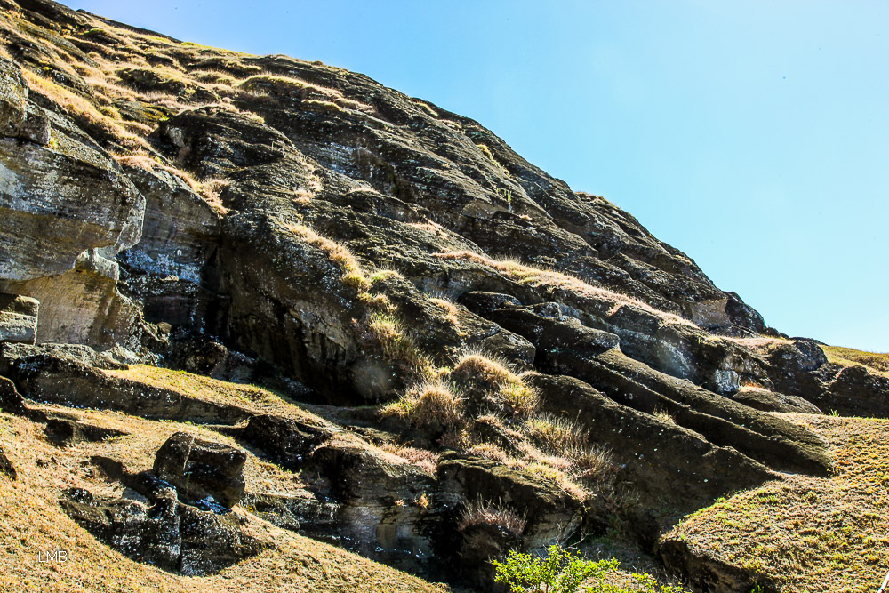 Moai Te Tokanga