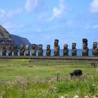 Moais auf dem Ahu Tongariki. Osterinsel / Rapa Nui