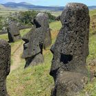 Moais auf Rapa Nui / Osterinsel