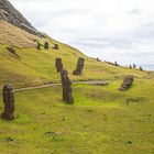 Moais im Rano Raraku