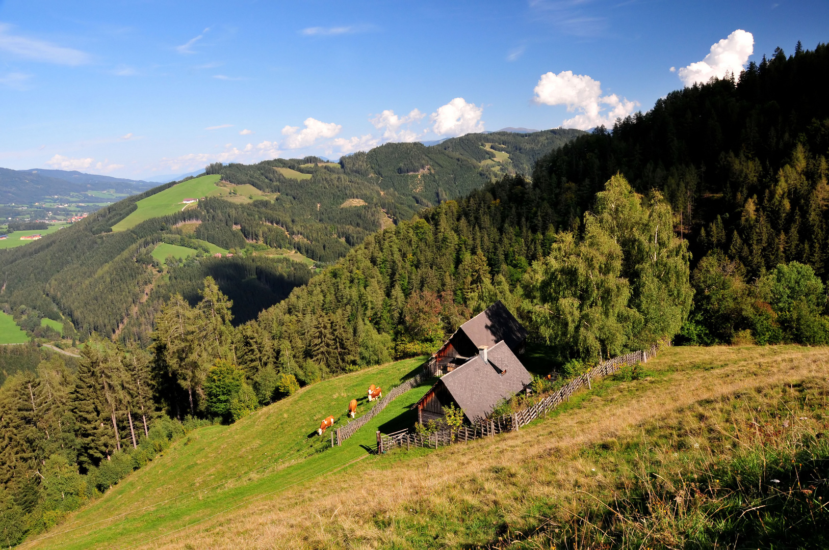 Moaralmhüttenblick