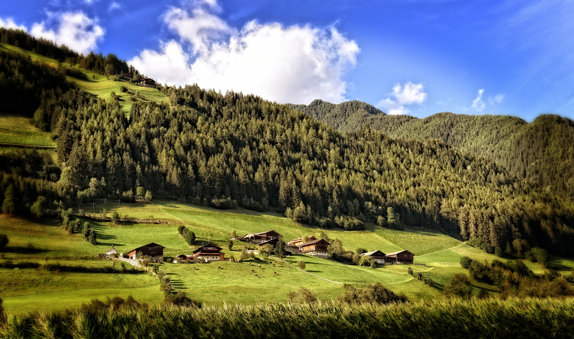 Moarhöfe in Steinhaus-Ahrntal