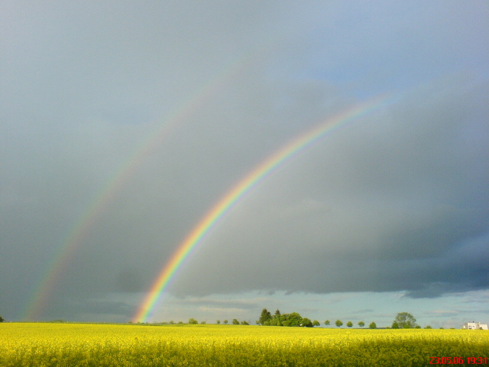 Mobile Phone Rainbow