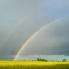 Mobile Phone Rainbow