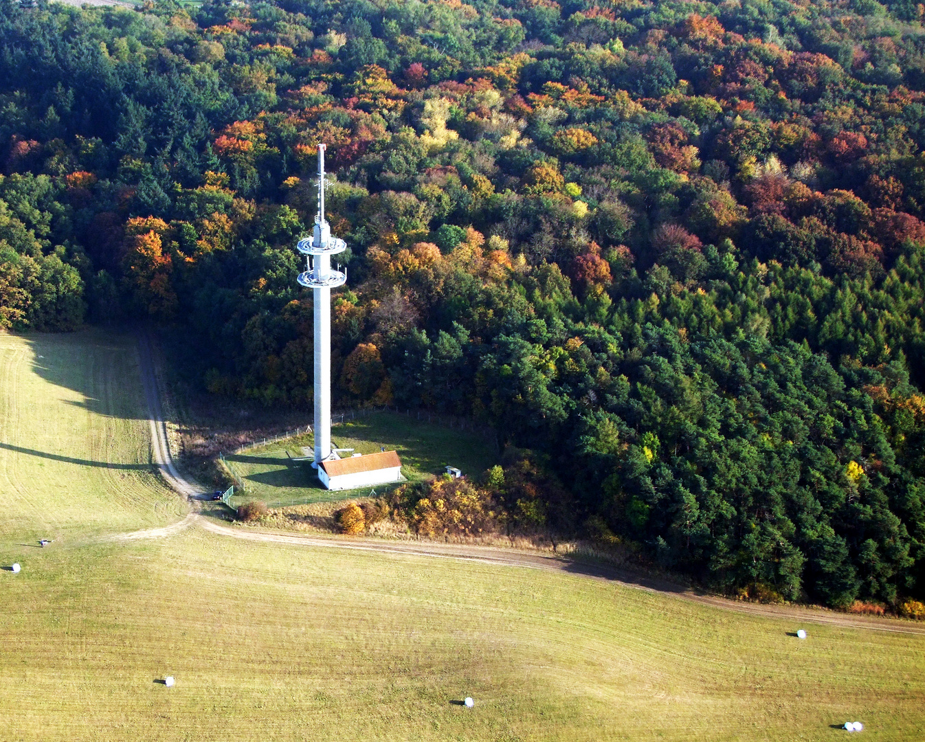 Mobilfunkmast am Wald