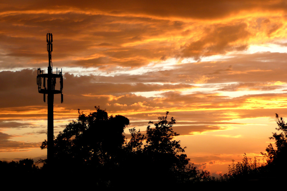 Mobilfunkmast im Abendlicht