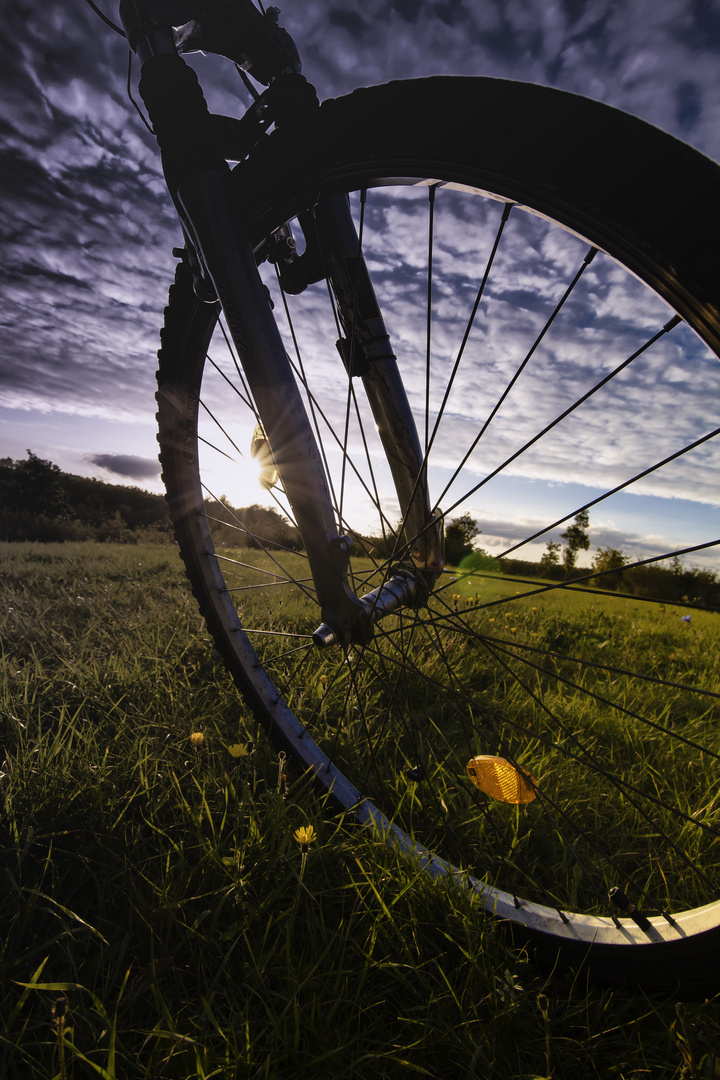 Mobilität in der Natur