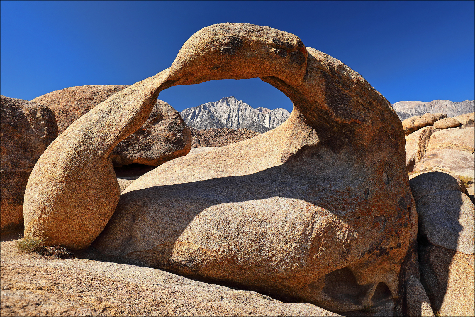 ~ MOBIUS ARCH BACK ~