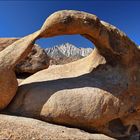 ~ MOBIUS ARCH BACK ~