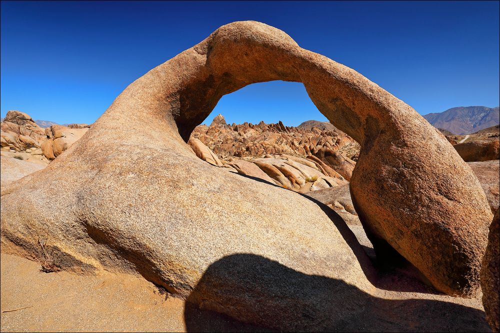 ~ MOBIUS ARCH FRONT ~