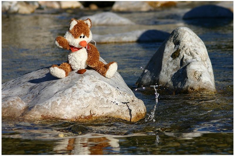 Moby beim Steinchenwerfen