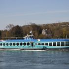 Moby Dick auf dem Rhein, unterwegs nach Linz