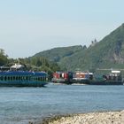 Moby Dick unter dem Drachenfels