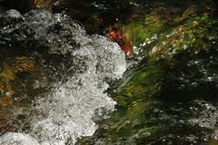 Modau – Farbspiele