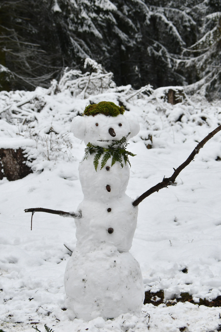 Modebewußter Schneemann