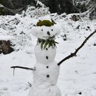 Modebewußter Schneemann