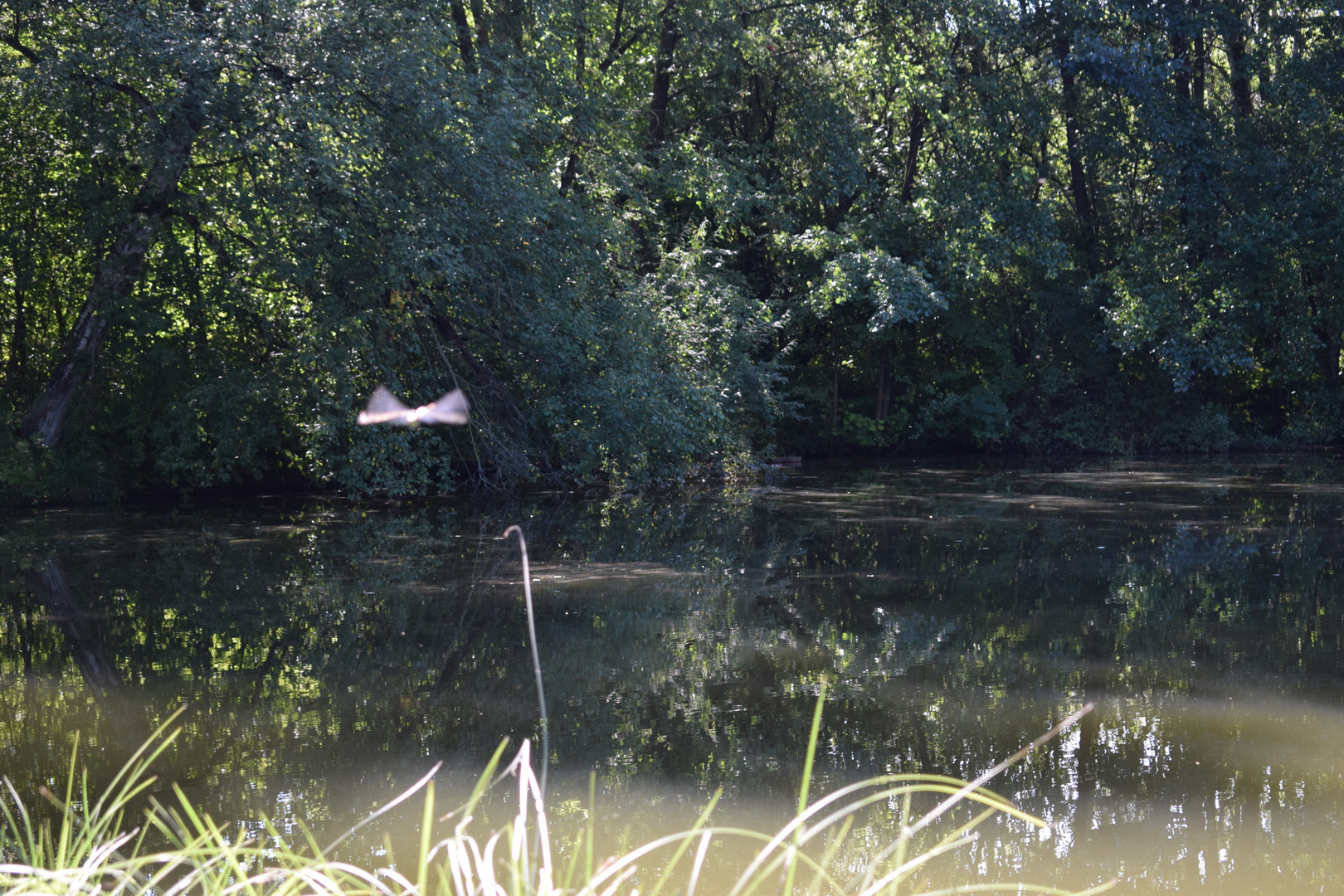 Model auf der Flucht -)