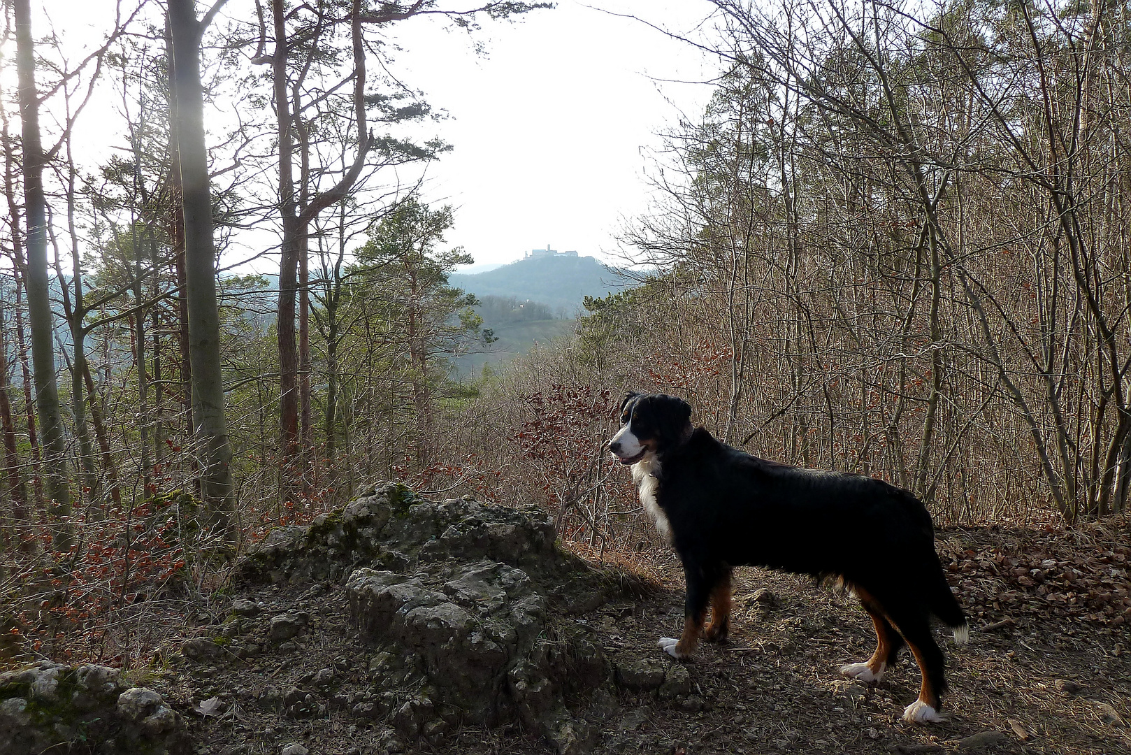 Model Bella mit der Wartburg als Hintergrund