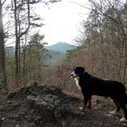 Model Bella mit der Wartburg als Hintergrund