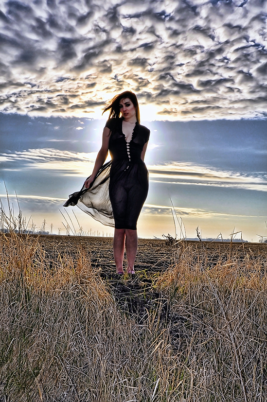 Model in the Prairies