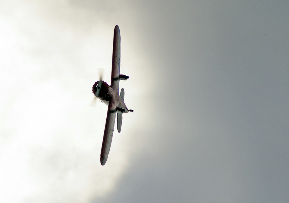 Modelflugtage in Oberschleissheim 2009-03