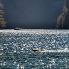 Modell boat on Königsee Bavaria Modelboot auf dem Königsee