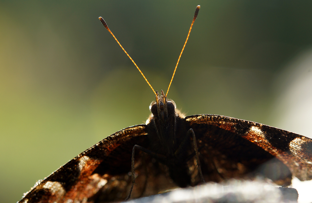 Modell Sonnenlicht, die zweite