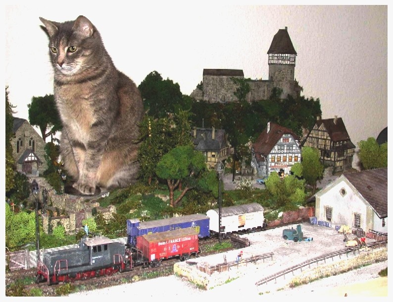 Modell(Bahn)Katze