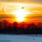 Modellflug im Winter