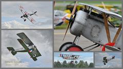 Modellflugtag Hausen am Albis