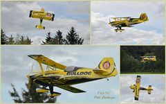 Modellflugtag Hausen am Albis