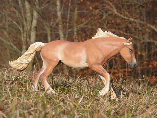 Modellpferd Arabo-Haflinger