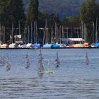 Modellsegelboot Regatta