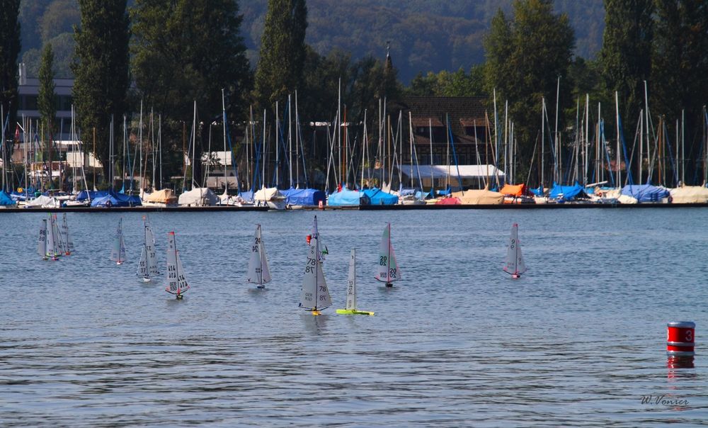 Modellsegelboot Regatta