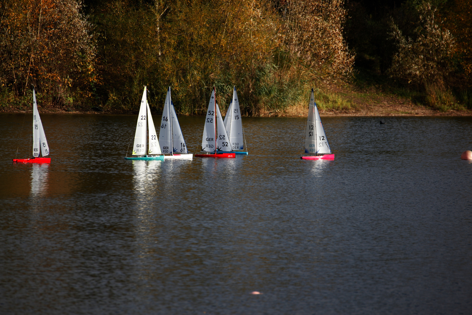 Modellsegler im Herbst