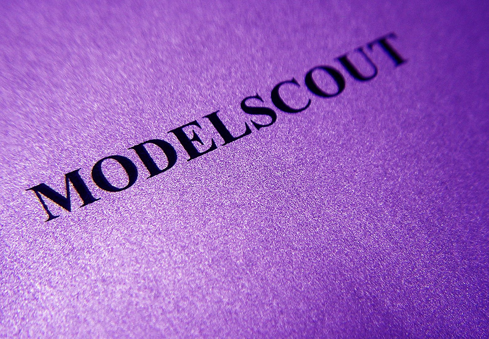 MODELSCOUT