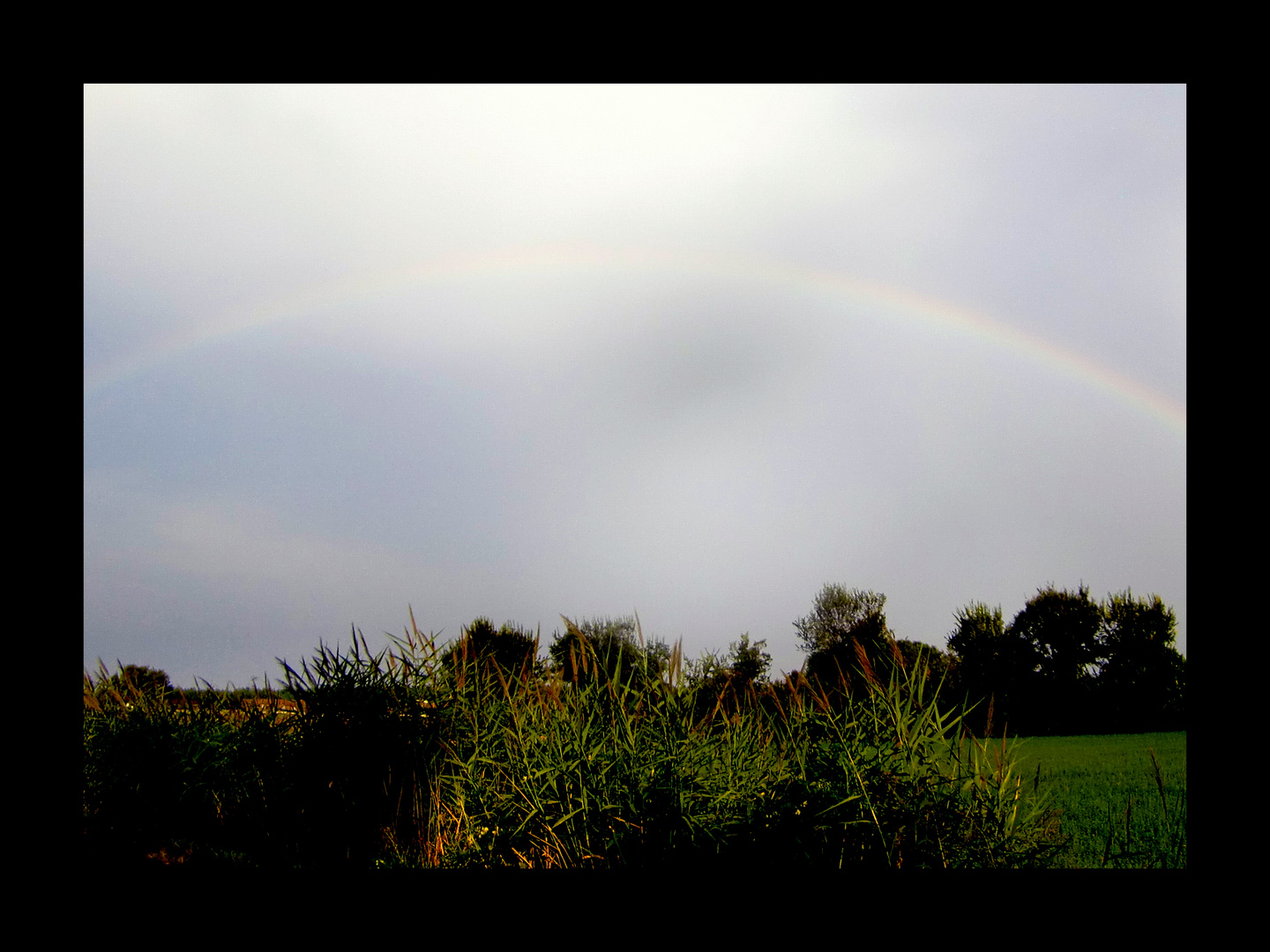 Modena, arcobaleno